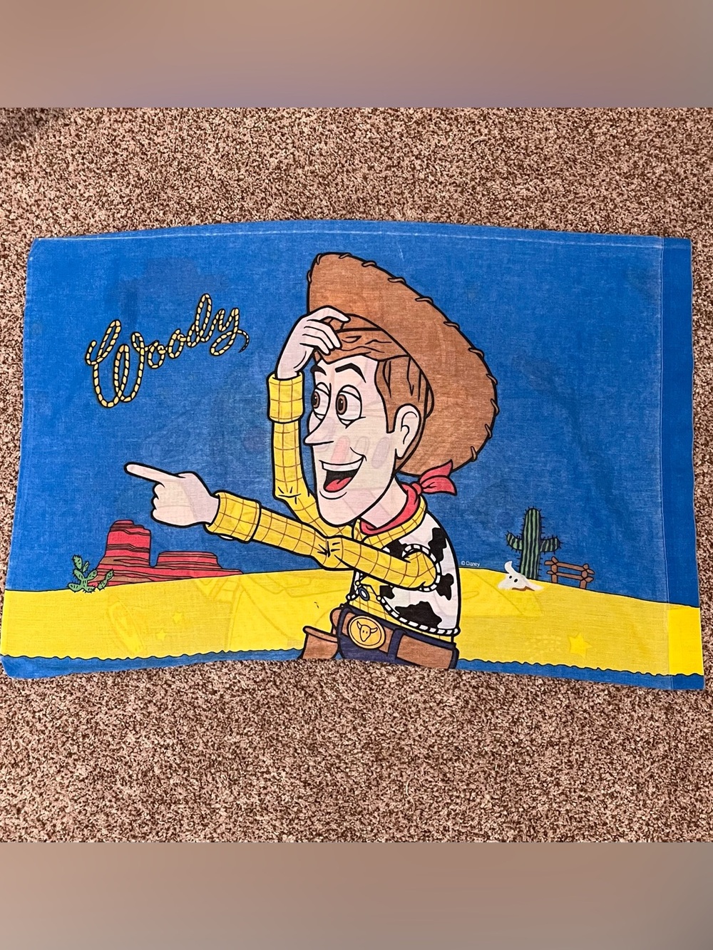 Vintage 1996 Toy Story Buzz Lightyear and Woody Queen Size Pillowcase